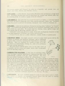 The Encyclopedia of Foods and Beverages - The Grocer's Encyclopedia - Page 100 - Caraway Seed