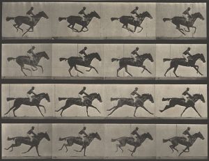 Horse in Motion, Eadweard Muybridge, ca. 1886